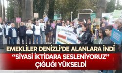 Emekliler Denizli’de alanlara indi