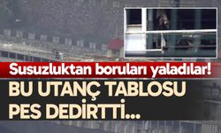 Susuzluktan boruları yaladılar!