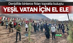 Denizli’de binlerce fidan toprakla buluştu; Yeşil vatan için el ele