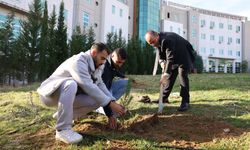 Rektör Güngör, öğrencilerle birlikte fidan dikti