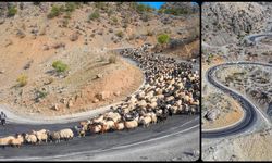 Göçerler 3 bin rakımlı yaylalardan kışlaklara dönüyor