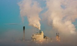 Hava kirliliğine karşı biyokütle projesi