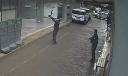 Manisa'da binadan düşen kediyi polis kurtardı