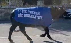 Okul sahibinden dikkat çeken tepki