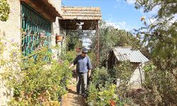 Suriyeli koleksiyoner Receb, evinde binlerce bitki türü yetiştiriyor