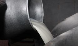 Süt desteklemeleri hesaplara yatmaya başladı