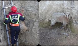 Kuyuya düşen keçiyi itfaiye kurtardı