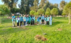 Üniversite öğrencileri yaşadıkları yurtları güzelleştirdi