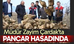 Çardak’ta şeker pancarı hasat edilmeye başlandı