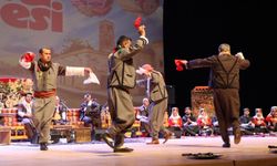 "Urfa Sıra Gecesi" ile kültürler buluştu