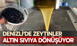 Kara meyve altın sıvıya dönüşüyor