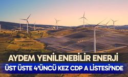 Aydem Yenilenebilir Enerji, üst üste 4’üncü kez CDP A listesi’nde