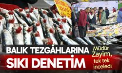 Denizli’de balık tezgâhlarına sıkı denetim