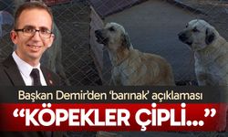 Başkan Demir’den ‘barınak’ açıklaması; “Köpekler çipli…”