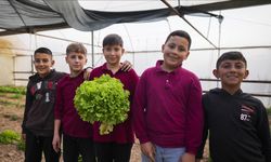 Köy okulunda eğitimi sınıflardan seralara, zeytin ve ceviz bahçelerine taşıdılar