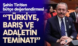 Tin: “Türkiye, barış ve adaletin teminatı”