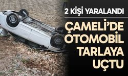 Çameli’de otomobil tarlaya uçtu