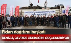 Denizli, cevizde liderliğini güçlendiriyor