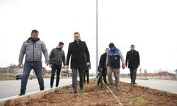 Çivril’de peyzaj çalışmaları devam ediyor
