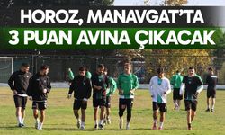 Denizlispor Manavgat’ta 3 puan avına çıkacak