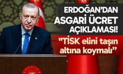 Cumhurbaşkanı Erdoğan'dan asgari ücret açıklaması: "TİSK elini taşın altına koymalı"