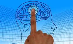 Nöroloji uzmanı uyardı: "Ciddi kafa travmaları epilepsiye neden olabilir"