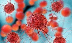 Meme ve prostat kanserleri önemli genetik ortaklıklar taşıyor