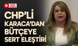 CHP’li Karaca’dan bütçeye sert eleştiri