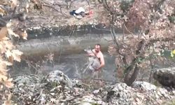 Kütahya'da su kanalına düşen karaca kurtarıldı