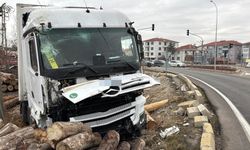 Kontrolden çıkan tır, kereste fabrikasının deposuna girdi