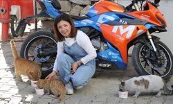 Kazanda pişirdiği etlerle sahipsiz kedileri besliyor