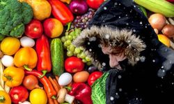 Kışa güçlü mikrobiyota ile girin