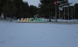 Manisa'da yüksek kesimlerde kar yağışı etkili oldu