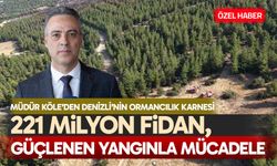 Denizli’de 20 yılda 221 milyon fidan dikildi