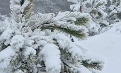 Muğla’ya mevsimin ilk karı yağdı