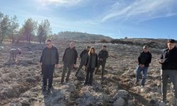 Denizli Orman Bölge Müdürü Köle, Uşak’ta fidan dikimini inceledi