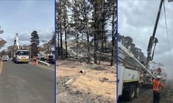 Orman yangınlarında 1 itfaiyeci öldü, 39 ev küle döndü