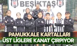 Pamukkale kartalları üst liglere kanat çırpıyor