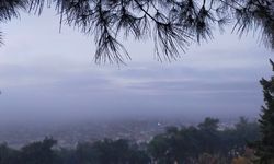 Puslu sabah manzaraları mest etti