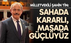 Şahin Tin: “Sahada kararlı, masada güçlüyüz”