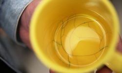 Çatlak seramik kap ve kupalar bakteri üretme riski taşıyor