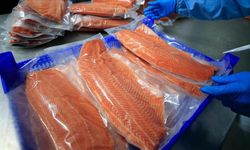 Türk somonu ihracatında hedef milyar dolara ulaşmak