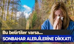 Sonbahar alerjilerine dikkat!