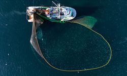 Su ürünleri avcılığı sözleşmeli üretim kapsamına alındı