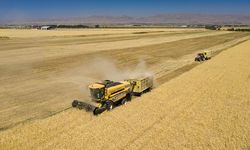 Tarım ve Kırsal Kalkınmayı Destekleme Kurumu 42 uzman alacak