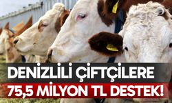 Denizlili çiftçilere 75,5 milyon TL destek!
