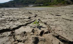 Toprak ile su kaybı, gıdayı ve geleceği doğrudan tehdit ediyor