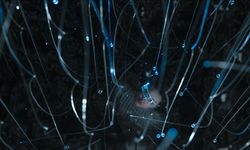 Türkiye dijital altyapısını nasıl güçlendiriyor?