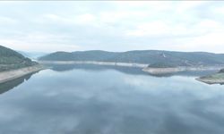 Türkiye'de 2024'te su kaynaklarından 20,3 milyar metreküp su çekildi