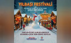 Yılbaşı Festivali Çamlık Kent Ormanı’nda başlıyor